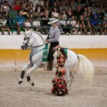 Espectáculo de caballos + flamenco + cena| Horse show + flamenco + dinner