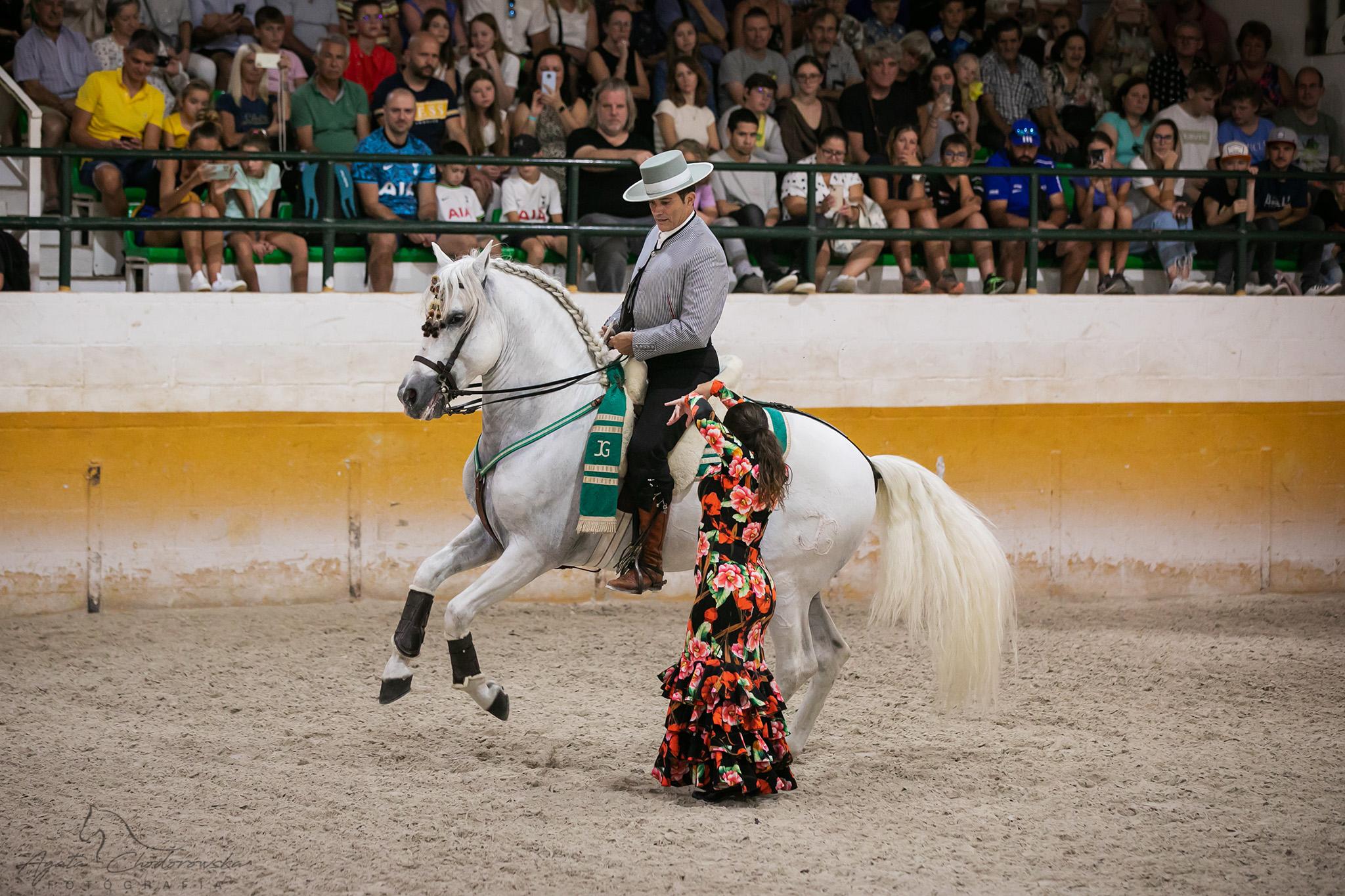 You are currently viewing Espectáculo de caballos + flamenco + cena| Horse show + flamenco + dinner